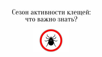 Как уберечь ребенка в сезон клещевой активности Как уберечь ребенка в сезон клещевой активности.