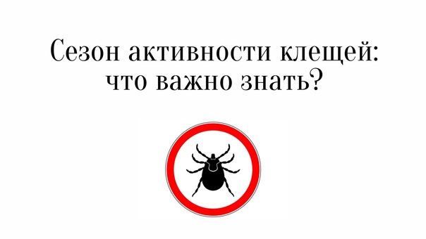 Как уберечь ребенка в сезон клещевой активности Как уберечь ребенка в сезон клещевой активности.